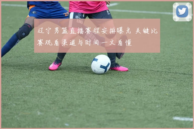 辽宁男篮直播赛程安排曝光 关键比赛观看渠道与时间一文看懂