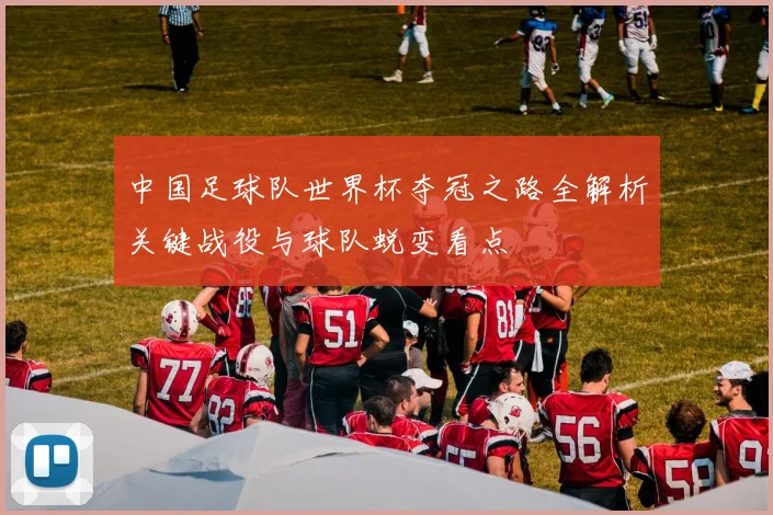 中国足球队世界杯夺冠之路全解析关键战役与球队蜕变看点