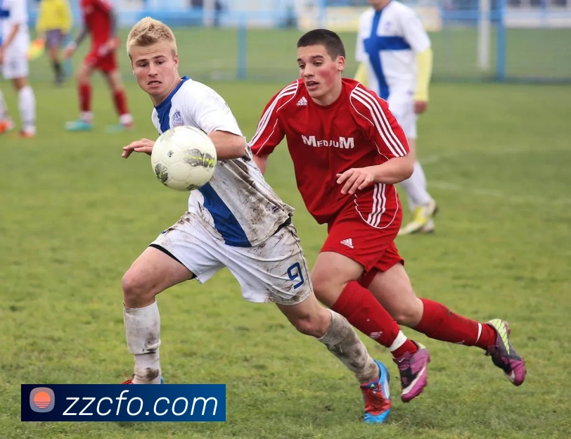 开云官方登录发展历程